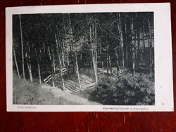 Balatonföldvár, children 's playground in the pine forest - postcard run 1939