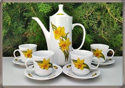 Narcissus patterned lowland porcelain jug and cup sets