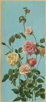 George lambdin - roses and fuchsia - canvas reprint