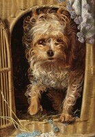 Frederick sandys - cute dog house - canvas reprint