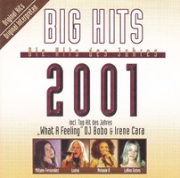 V. A. - Big Hits 2001 (válogatás) (2001) (CD) (alkuképes termék)