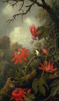 Martin heade - hummingbird and passion flower - canvas reprint