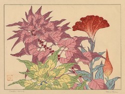Sakai Hoitsu - Celózia - vászon reprint