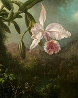 Martin Heade - Orchidea - vászon reprint