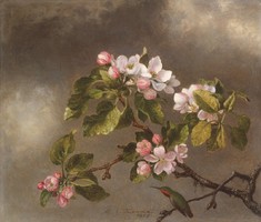 Martin heade - apple tree when blooming - canvas reprint