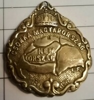 Rarity for collectors copper pendant