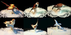 7+1 db Aquincumi Hollóházi porcelán madár, madárpár, kolibri, sirály, kormorán egyben