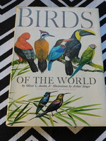 Birds Of The World - angol nyelvű madaras könyv