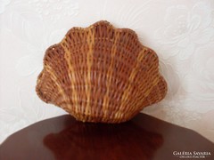 Shell-shaped holder