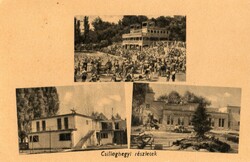 132 --- Running postcard original edition (not reprint) zzillahegy
