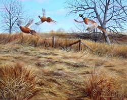 Dabronaki exploding pheasants 40x50cm oil on canvas painting
