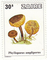 Zaire commemorative stamp 1979