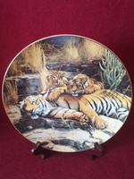 Tiger collectible decorative plate royal doulton