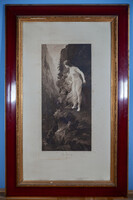 Nude, etching 80x120 flawless frame, book kálmán rt