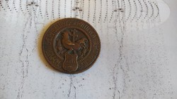 Evezős csillagtúra Győr Szab. Kir. Város díja Ludvig plakett