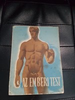 Az emberi test-orvosi reklám kiadvány-Érdekesség.Bayer gyógyszer gyár