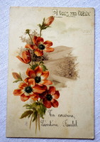 Antik francia grafikus művész litho üdvözlő képeslap  mákvirág tájkép
