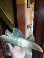 Retro ornament horn fish is in the condition shown in the pictures