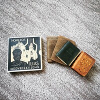 Mini books in one and a leather book cover