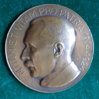 Szentgyörgyi István: Dr. Verebély Tibor 1914-1924, bronz érem, plakett