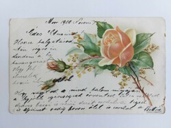 Old floral postcard 1900 postcard with yellow roses