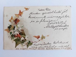 Old floral postcard postcard with snowdrops ivy