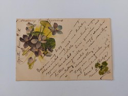 Old postcard 1900 floral postcard with violet clover