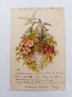 Régi képeslap 1901 levelezőlap galambok meggy virágkosár