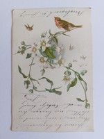 Old postcard 1900 postcard with flower little birds