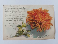 Régi képeslap 1900 virágos levelezőlap őszirózsa csillámos