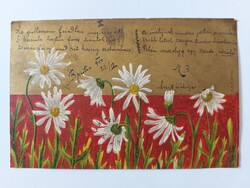 Old postcard 1900 floral postcard daisy