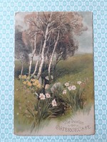 Old Easter postcard 1917 spring landscape postcard birch daffodil