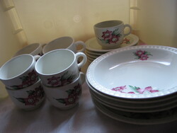 Retro art deco Ditmar Urbach wild rose patterned set of 20 pcs