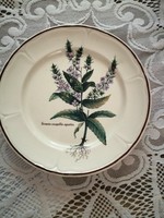 Villeroy and boch botanica hoz hasonló  tányér