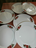Strawberry plates lubjana