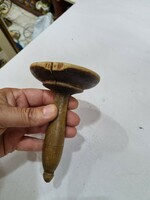 Old wood scab fungus