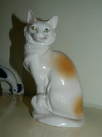 Kőbánya porcelain factory cat
