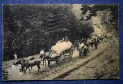 Antik képeslap katonai menet    Munkácsi utcai Hadikórházból  pecsét Pálfi századosnak K.u.K. 1913
