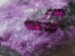 A natural, rare specimen of Kämmererite. Collectible mineral. 38 Grams with brilliant crimson crystals.