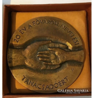 Commemorative plaque for a metropolitan educational consultant