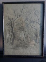 Unsigned pencil drawing - study drawing - forest detail 084