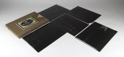 1J943 Antique Agfa Glass Plate Photography Glass Negative 5 pcs Art Deco Life Scenes Amphitheater