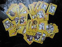 A stack of retro madagascar nestle cards
