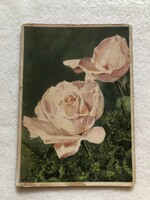 Old postcard with rose flowers