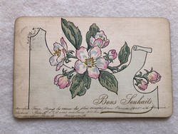 Antik hosszúcímzéses virágos képeslap - 1904