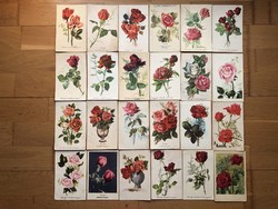 Régi RÓZSA virágos  képeslapok   -   ár / db