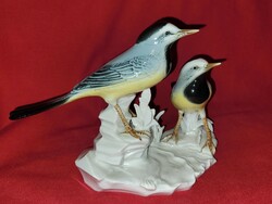 A pair of beautiful rare ens porcelain birds