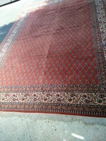 Carpet, bidjar, wool large size