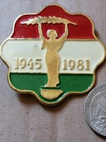 KISZ - FIN/Forradalmi Ifjúsági Napok 1945-1981 jelvény