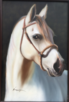 Bán Tibor    " Fehér ló portréja" 60 x 40 cm méretben + keret